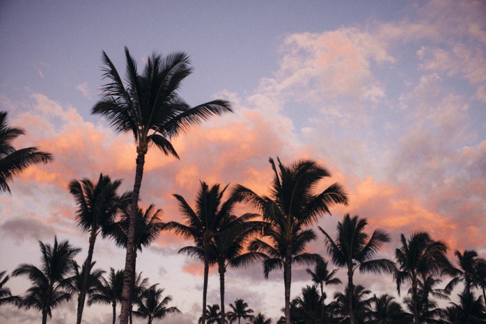 gmg-maui-hawaii-4324